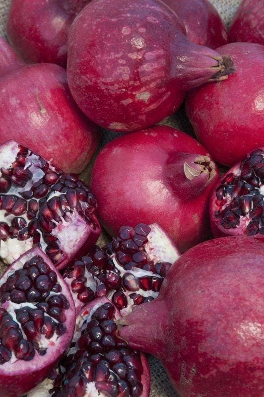 Parfianka Pomegranate 1 Parfianka Pomegranate