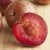 Combo Zee Sweet Pluot Tree (4 Varieties)